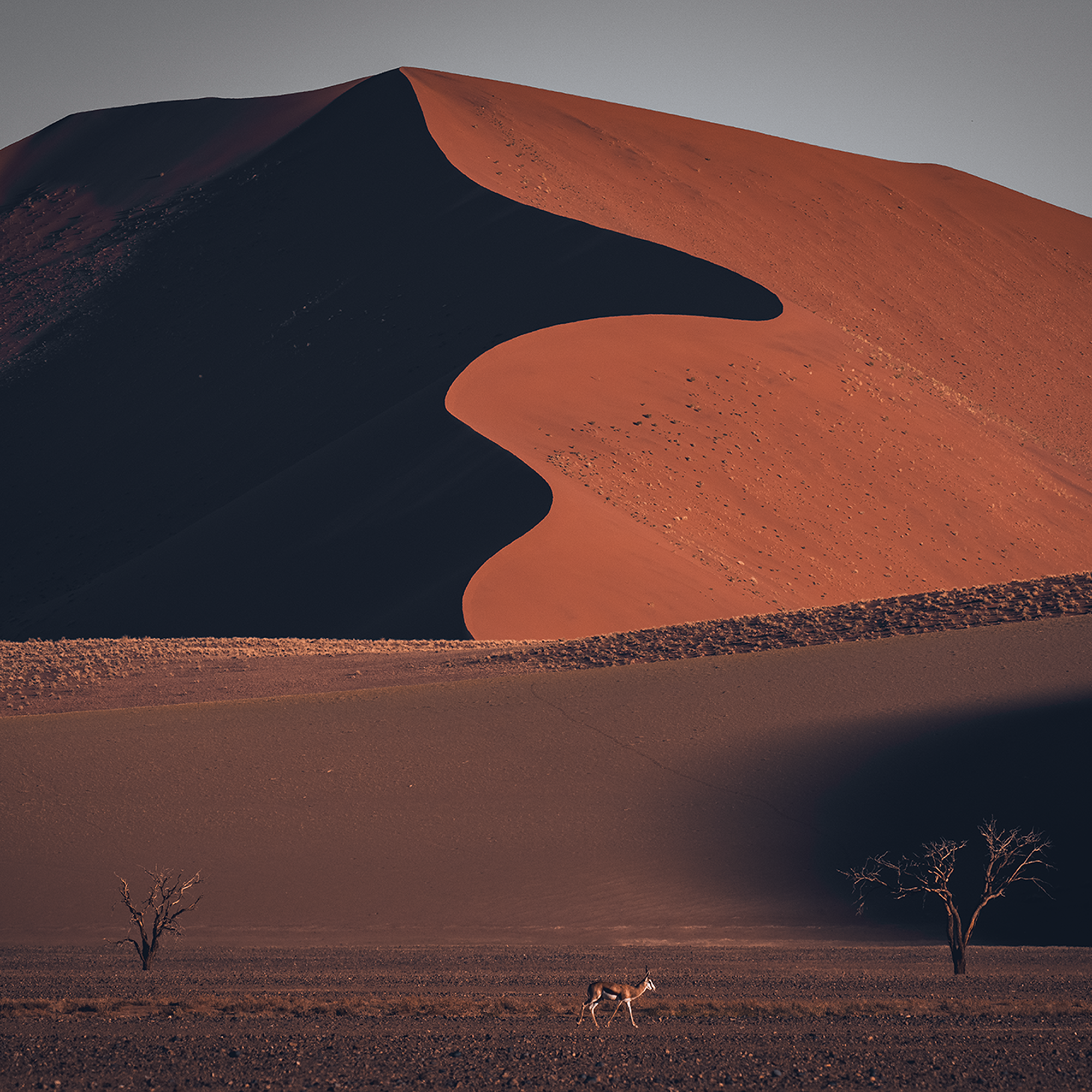 Reisevortrag Namibia mit Michael Leidel